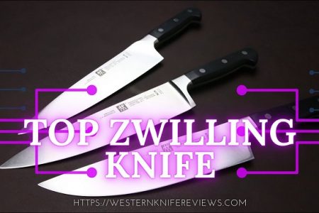 5 Best Zwilling Knives Review 2022 | Top Updated List