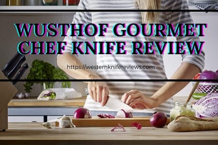 ▷ Wusthof Gourmet Chef Knife Review [Money Saving Master]