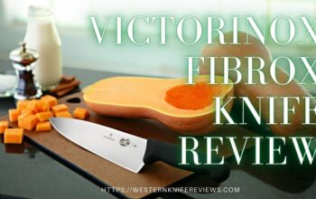 5 Best Victorinox Fibrox Knife Review 2021 [How They made So Cheap!]
