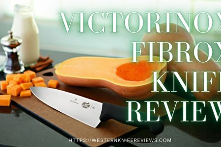 5 Best Victorinox Fibrox Knife Review 2022 | Cheapest Knife Ever!