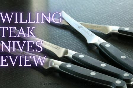 Top Zwilling Steak Knives Review [Steak Knives for Elegance]