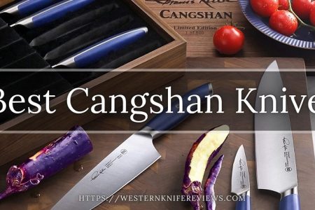5 Best Cangshan Knives Reviews [Thomas Keller Edition😯😘😍]