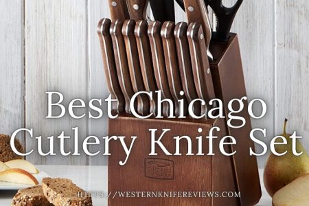 5 Best Chicago Cutlery Knife Set Review [Quality✔ Price ✔ UX ✔]