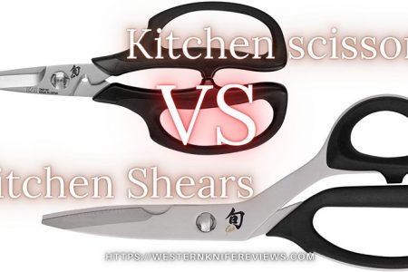 Kitchen Shears Vs Scissors Detail Explanations [Worth to Know]