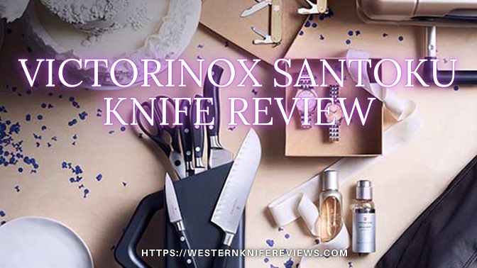 Victorinox Santoku Knife Review in detail