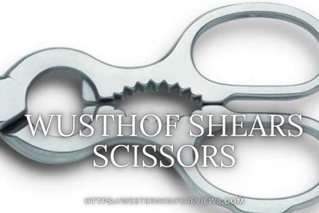 3 Best Wusthof Shears scissors Review [Great Cutting Assistant]