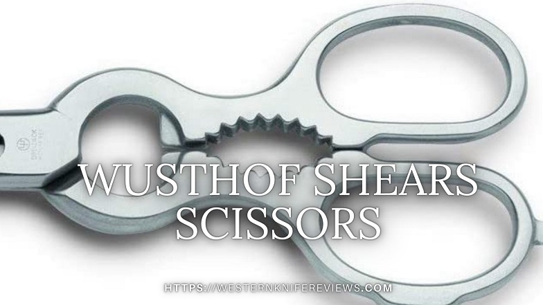 Wusthof Shears scissors review