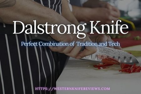 5 Best Dalstrong Knife Review 2022 | Choose The Right