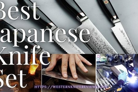 10 Best Japanese Knife Block Set 2022 [High-End to Low Budget]