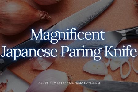 10 Best Japanese Paring Knife 2022 | 💕Peeling Master