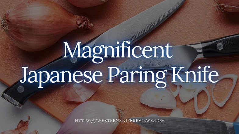 top 10 Best Japanese Paring Knife review