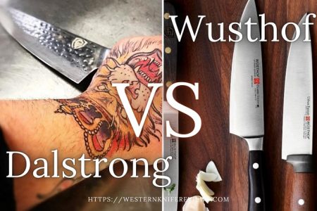 ▷ Dalstrong Vs Wusthof Knives | In-Depth Comparison 2023