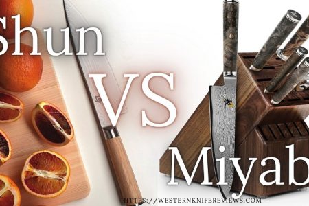 ▷ Miyabi VS Shun Knives | Who Makes Best Japanese Knife?