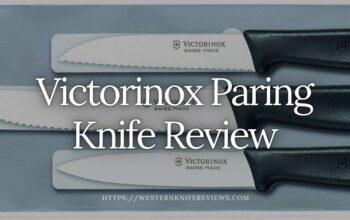 ▷ Victorinox Paring Knife Review &👉Our Judgement !