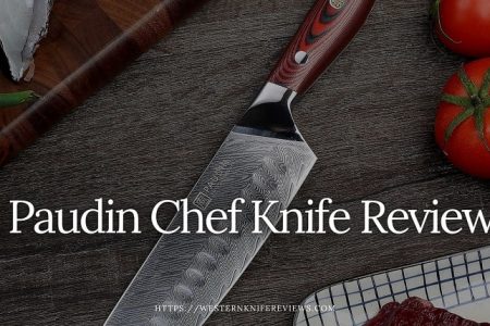 ▷ Paudin Chef Knife Review [ We Select Top 3 Paudin Knife]