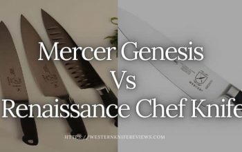 ▷ Mercer Genesis Vs Renaissance 2021 [ Basic Differences]