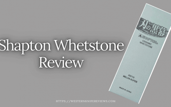 Shapton Whetstone Review [ Top Japanese knife sharpener?]