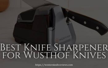 5 Best Knife Sharpener for Wusthof Knives | 100% Solution