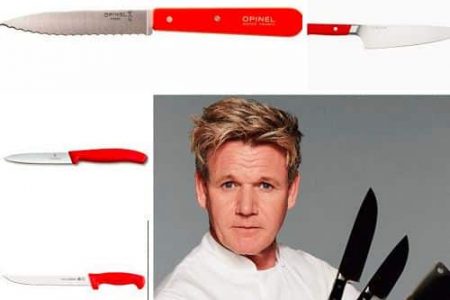 What Knife does Gordon Ramsay Use? Are Really Worth It??