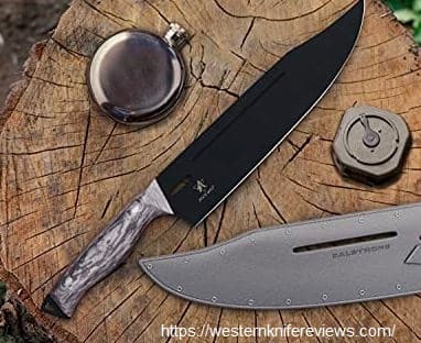 Dalstrong delta wolf knife blade
