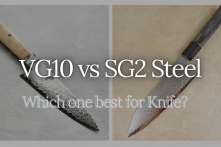 VG10 vs SG2 | Which One is We Recommend For Knife?