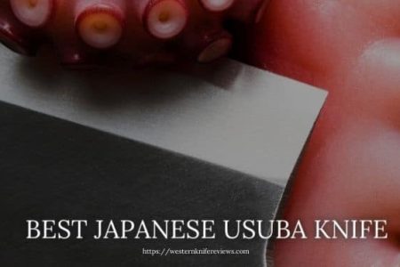 5 Best Japanese Usuba Knife for Master chef 2023