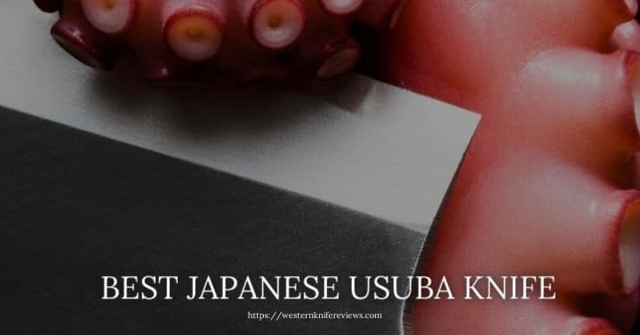 Best Japanese Usuba Knife