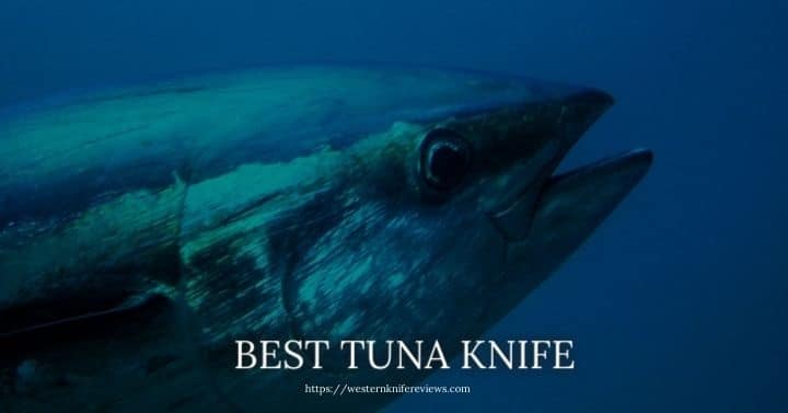 Best Tuna Knife